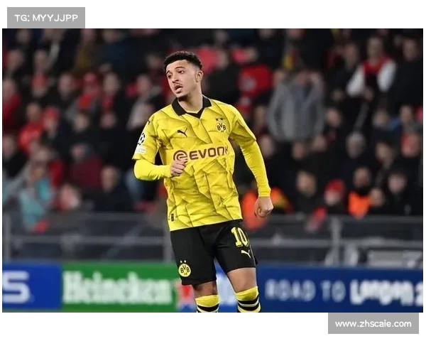 如何全面了解多特蒙德边锋桑乔的个人资料与职业生涯发展